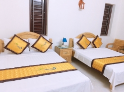  , Villa 8 phòng Ngủ Hải Tiến